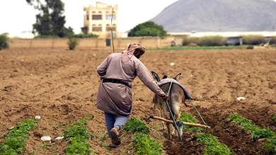 ​تجنيد مزارعي اليمن في الحرب..استقطاب المقاتلين من الريف